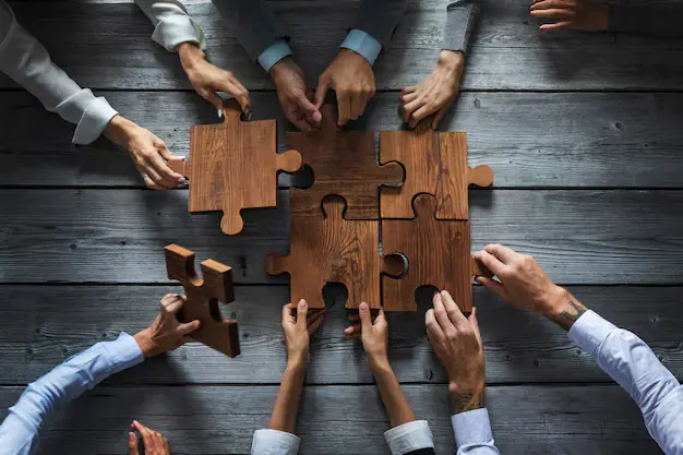 Partnership & Collaboration